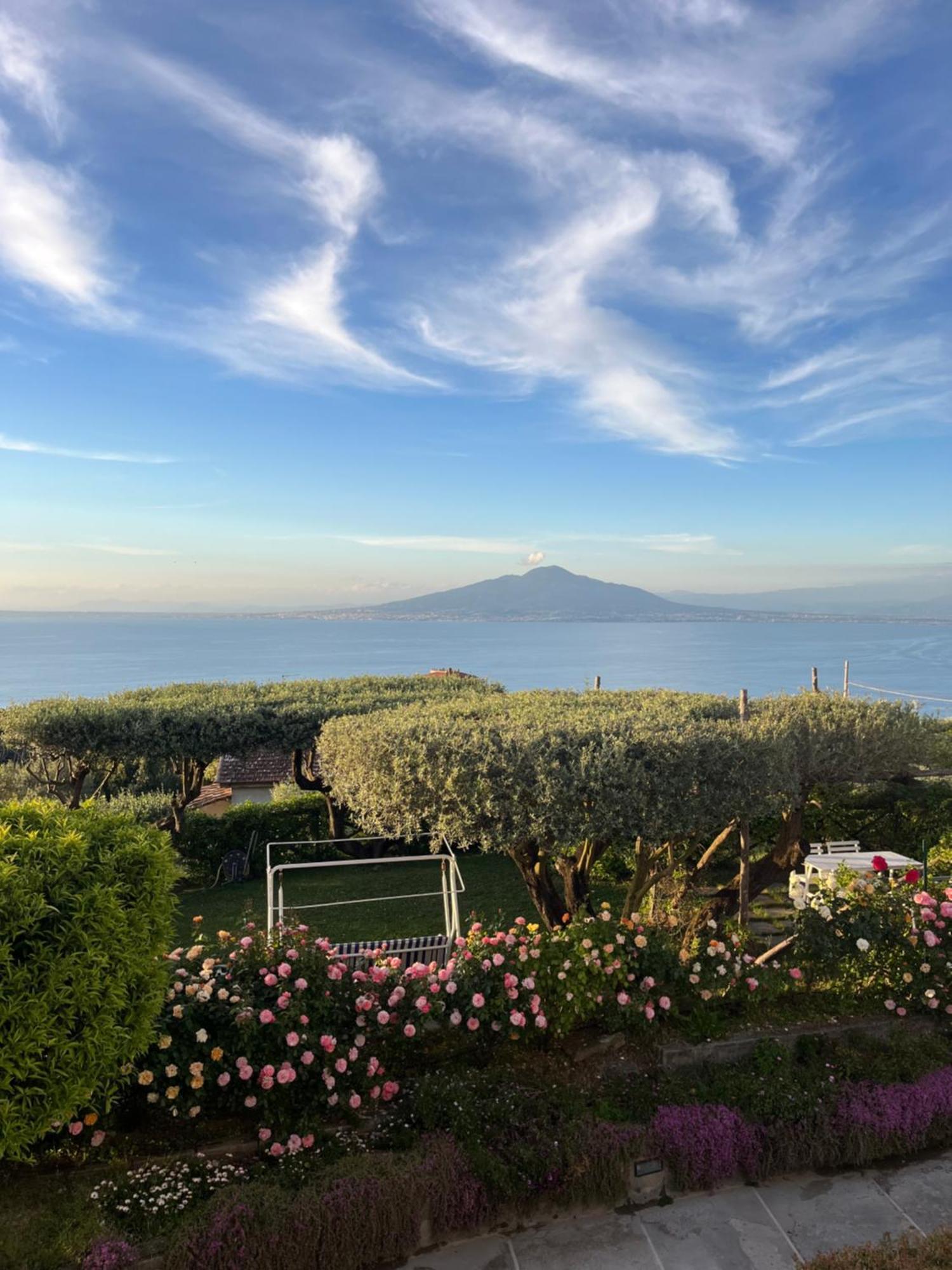 Sorrento Garden Hotel Bagian luar foto