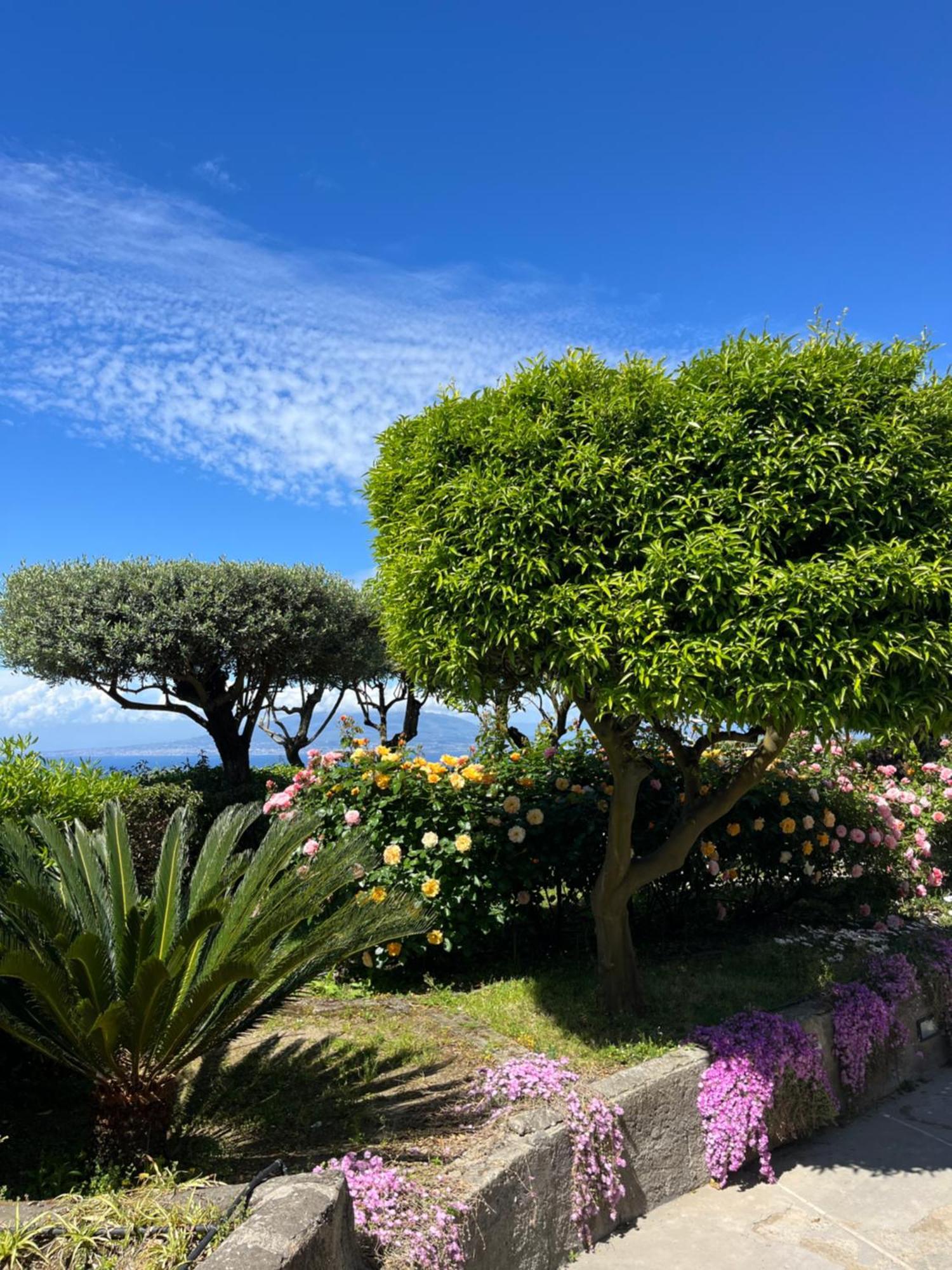 Sorrento Garden Hotel Bagian luar foto