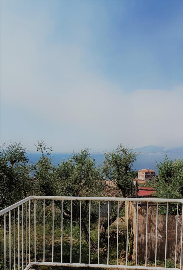 Sorrento Garden Hotel Bagian luar foto