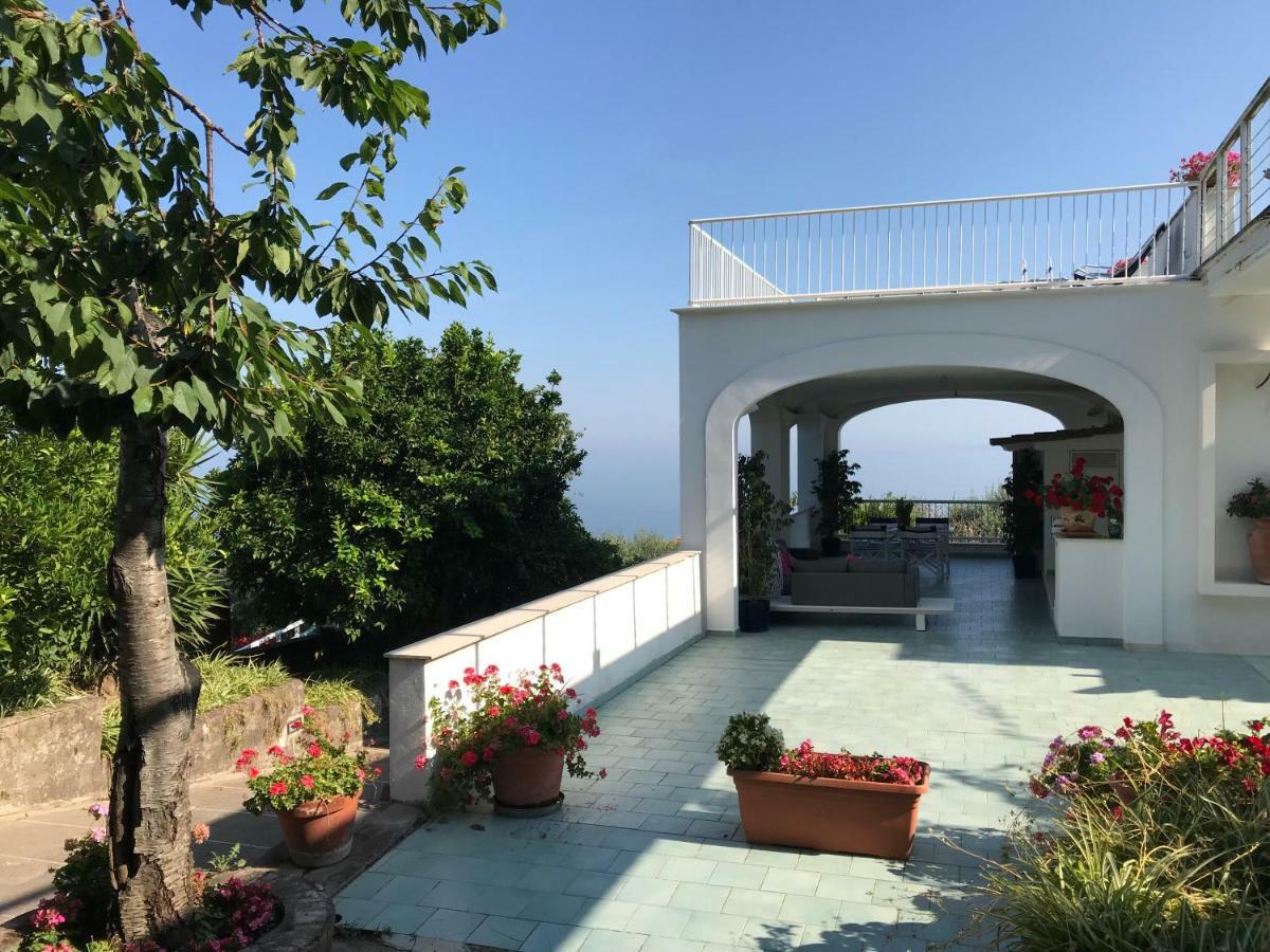 Sorrento Garden Hotel Bagian luar foto