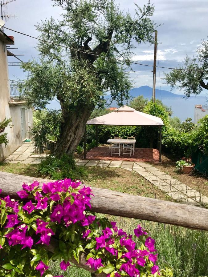 Sorrento Garden Hotel Bagian luar foto
